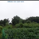 연천군마전리보건진료소 이미지