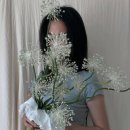 썸머플라워 센터피스 만들기 A | 비교 추천 [크러쉬온플라워, 유네드, 저스트플뢰르, 디어마이썸머,플라워바테, 부케바이비비, 우연화 +a]