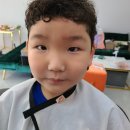 돌콩헤어 이미지