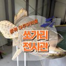 고대1081 이미지
