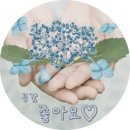 손톱관리소 - 화성시 한절이1길 29 | 손톱관리소