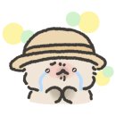 직진투어 이미지