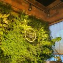 연세하늘치과의원 이미지