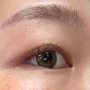 베스트안경 위드렌즈 이미지