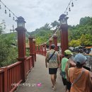 짐키친 수영점 | 끄라비 여행 Day 2. 아오낭 맛집 고담키친 메뉴 추천, 홀리데이 아오낭 비치 리조트 물놀이 2회차