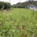 달고개모시마을 이미지