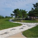 송지호 오토캠핑장 이미지