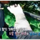 장동농장 이미지