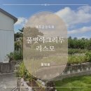 풀벗아그리투리스모 | 제주 감성숙소 독채 풀벗아그리투리스모 풀벗방 투룸 4인 숙박후기
