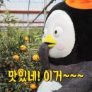 인천광역시십정본점 이미지