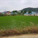 신송1리마을회관 이미지