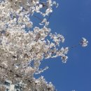 공공용 95 네이버블로그