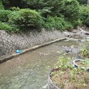 여울목식당 | 양주 장흥 여울목 : 계곡 맛집 아이와 갈만한 곳 물놀이와 함께 즐긴 닭백숙 가격, 후기