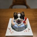 댕빵소 | 댕빵소:) 성남 강아지 케이크 전문점, 기호성! 루이야 생일추카해