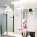 BB 동물병원 이미지