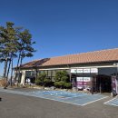 사월이네 | 천안구성동 맛집 사월의보리밥과쭈꾸미 재방문 후기