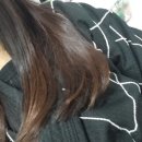 베스트 태권도 2관 | 합기도 보조사범 : 태권도 보조사범, 교범, 1년 후기, 하는 일, 난이도