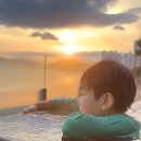 파라다이스 오션 스파 | 부산 파라다이스 호텔 룸 컨디션 본관 디럭스 오션테라스 뷰 솔직후기!!씨메르 오션스파 수영장 정보