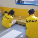 옐레드 애견유치원&애견호텔 대구신월성점 이미지