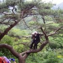 백두축산 이미지