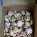 153농장 이미지