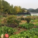 화영농장2 이미지