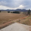 영광목장 이미지