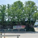 고려골재건설 | 부천 조경용마사 전문업체 한솔골재 - 당일배송 가능