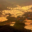 풍경안에서 이미지