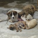 한치농장 이미지