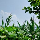 김일순농장 이미지