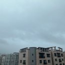 장유아나파마취통증의학과의원 네이버블로그
