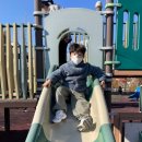 민들레 태권도장 이미지