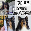 팻 밸런스 (Pet Balance) | 강아지미스트 추천 코미토르 피부보습과 산책 후 비린내 해결템