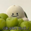 일상로그 이미지