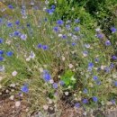 송금녹색농촌휴양마을 이미지