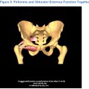 lumbar-pelvic-hip complex 구조와 충격흡수 - 대박자료 이미지