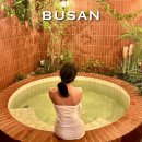 제일여관 | 부산 서면 자쿠지가 있는 개화기 경성 감성 이색 숙소 국제장여관 솔직후기