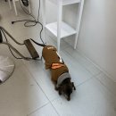 북수원미용실 키즈룸 100평 그로잉살롱