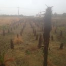 신평농장 이미지