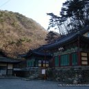 월리사 이구당 부도月裡寺 離垢堂 浮屠 | 청원...구룡산 월리사
