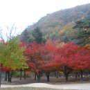 진양여관 이미지