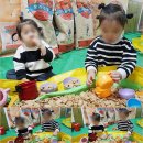 석화어린이집 이미지