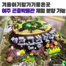 노원-현장-1396 | 겨울아기랑갈만한곳 여주 곤충박물관 체험 분양 가능