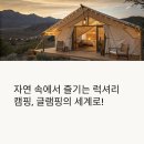 아침에 새소리 | 글램핑으로 떠나는 럭셔리 캠핑 체험