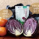 초호영농조합법인 이미지