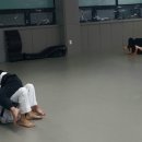 대한체육관 2도장(태권도) 이미지