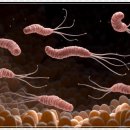 서초바른내과의원 이미지