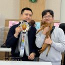 캐터리 페르마타 이미지