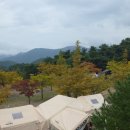 한티별빛아래관광농원야영장 이미지